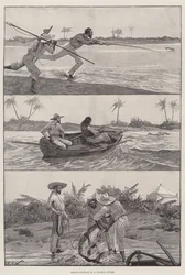 Tarpon-Fishing in a Florida River